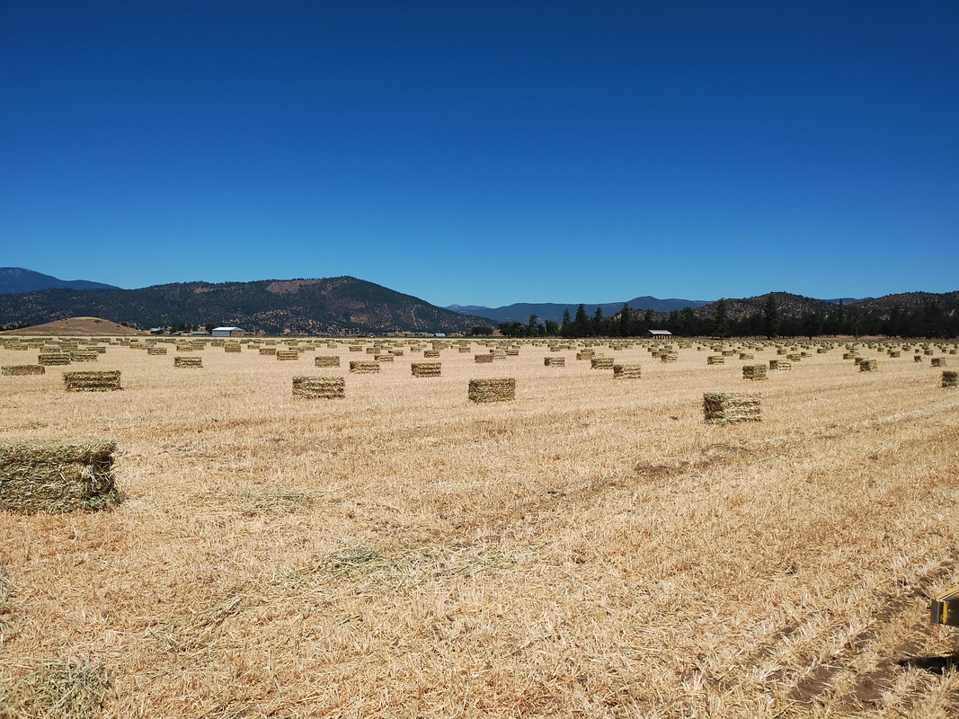 IMG_20240701_113824816