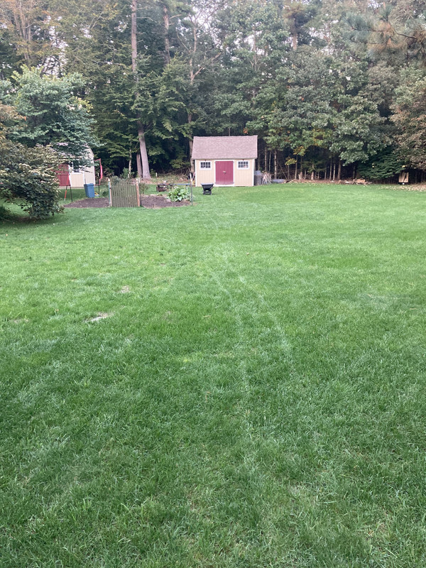 245E5817-2536-47C5-911F-40ED18A88AA6