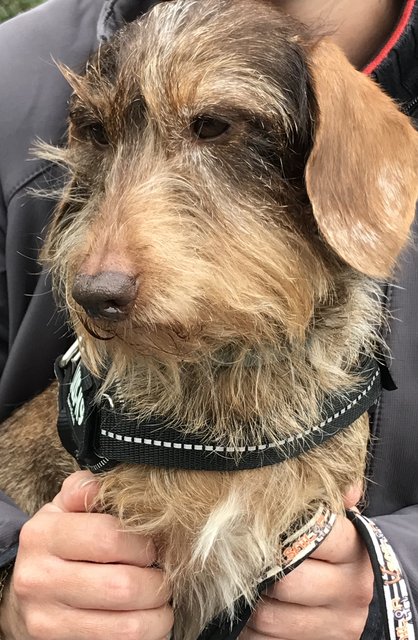 [Image: 87-BEC7-C9-53-C7-4703-B631-4-BEBF45-BC35-B.jpg]