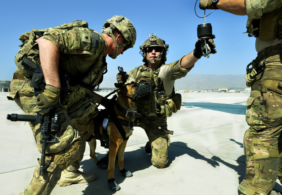 K9 Airman 1st Class Jason Fischman11