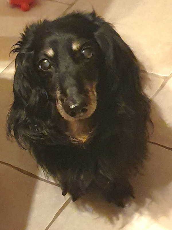 [Image: 20220719-220127.jpg]