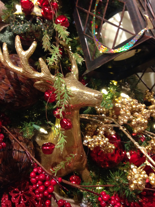 AFDA8EA4-C0AD-41E4-B950-A4E2C2BA3384