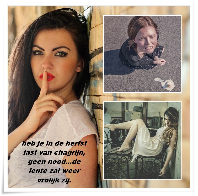 Klik op de afbeelding om de link te volgen
