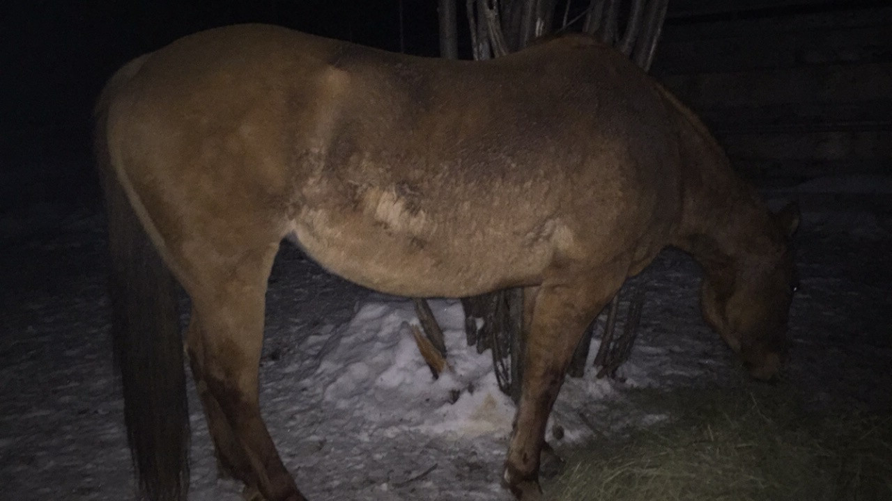 0340B4AE-C79A-4268-9FFC-3005BCEF8475