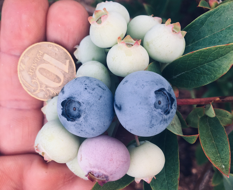 B1F97E70-A2D9-4A16-8472-49FEFC4BEA07