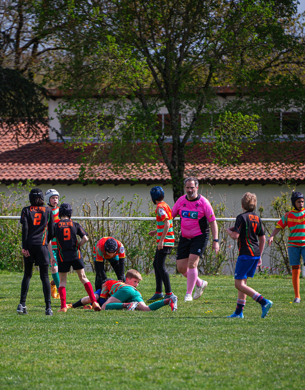 tournoi-de-latlantique-2026-adonis-griffon-22-55181550034-l