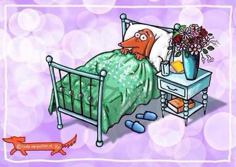 [Image: retablissement-2.jpg]