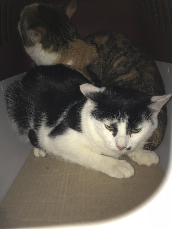 6852451D-DE1F-4CB0-81EC-9DEF20B78F93