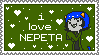nepeta