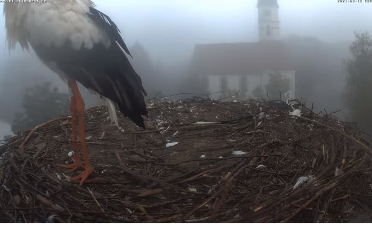 bandicam 2021-09-12 19-11-44-169