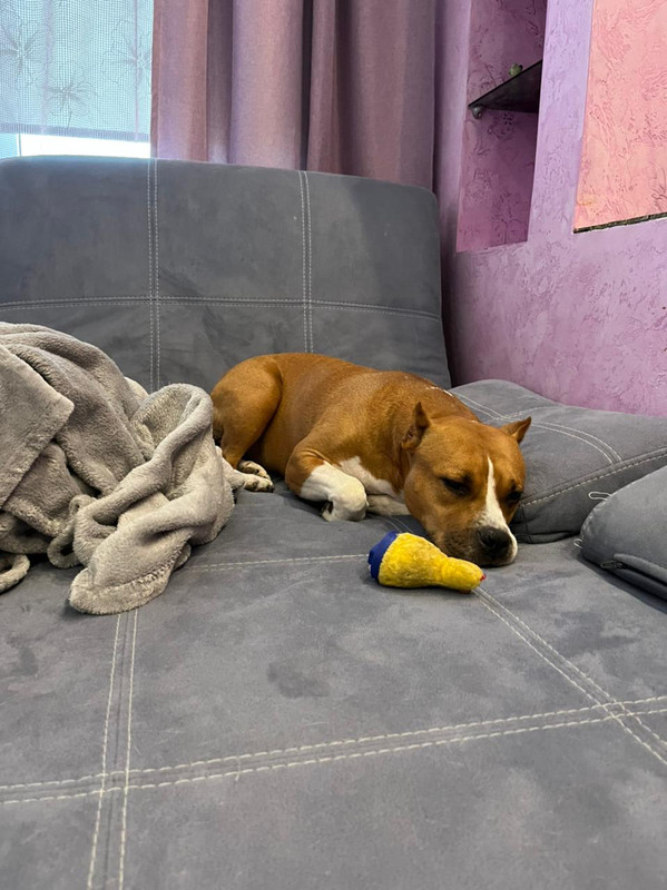 0D5939FB-F0E5-435C-B03A-88BC9EAA05A9