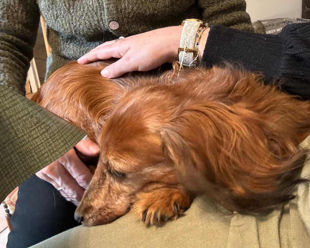 [Image: IMG-1422.jpg]