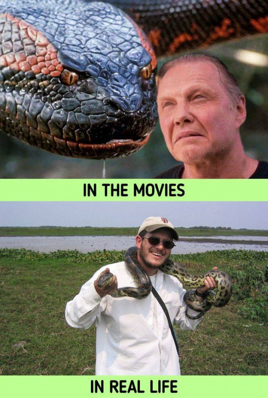 movies-7