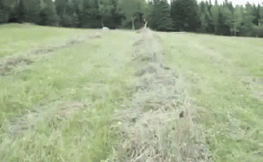 преузимање