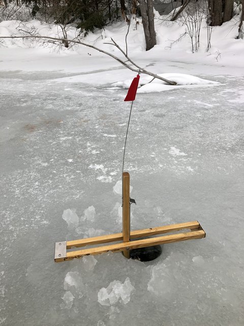 8A6E8F0C-2CB2-472E-AF60-25FCB8CCA1DB