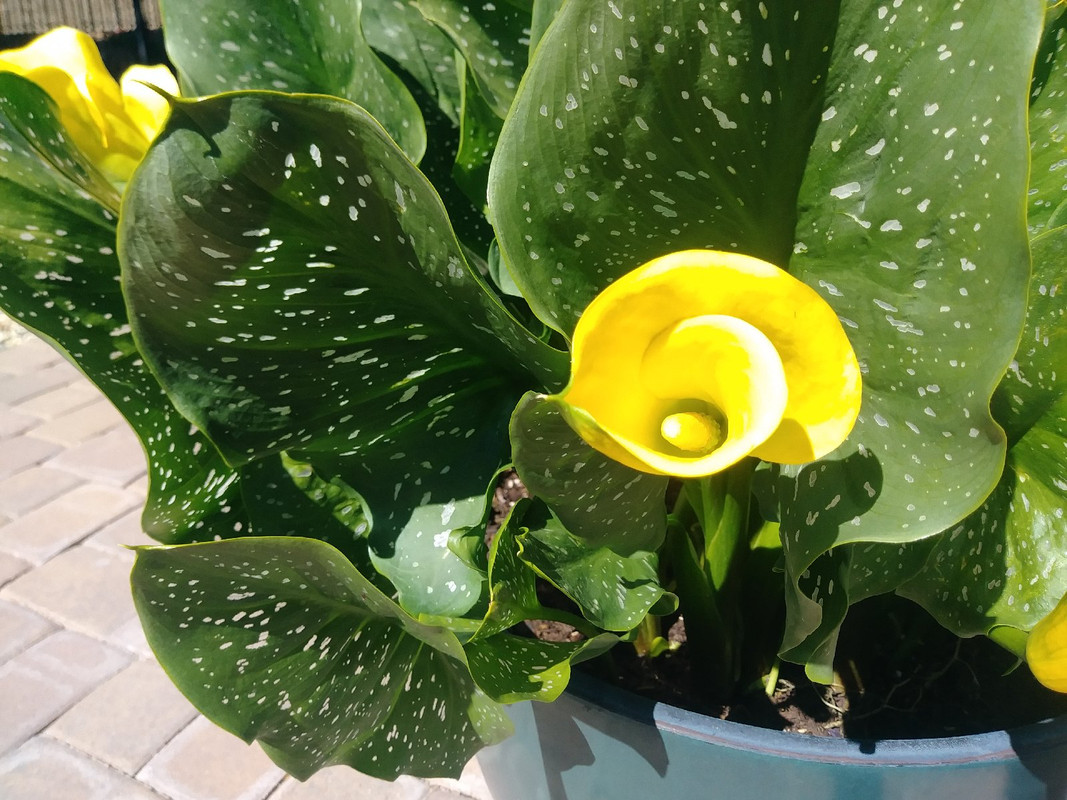 20180531_092411