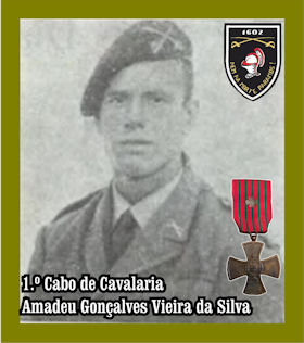 Amadeu-Gon-alves-Vieira-da-Silva-280