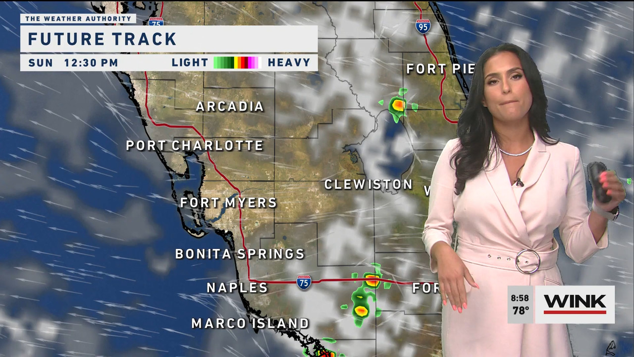 WINK News at 9 00 a.m. 2022_07_23_14_00_00.ts_snapshot_00.00.53.382