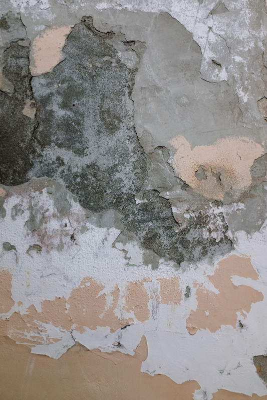 Mold growth found behind a wall after undetected water damage