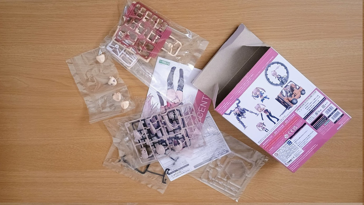 IMG 20250209 110647980 AE