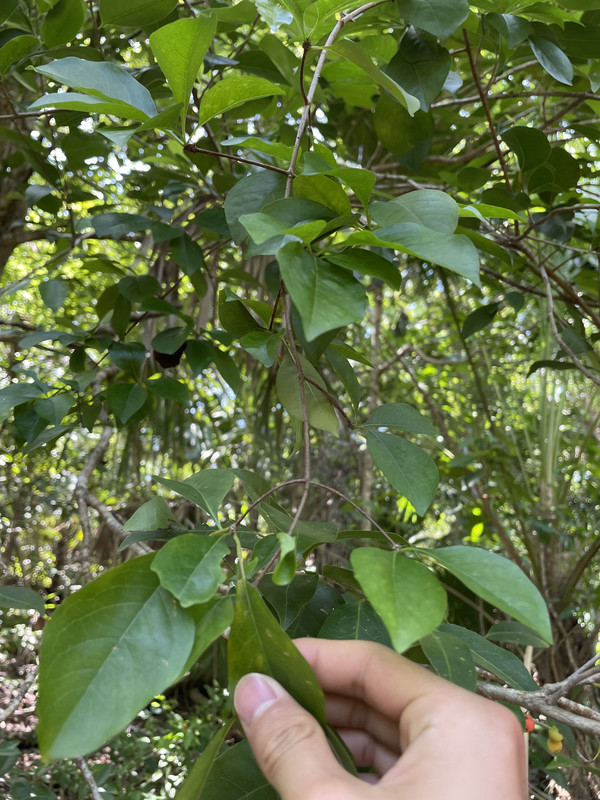 85962409-7EDC-4B3E-9138-44EE9957ACA6