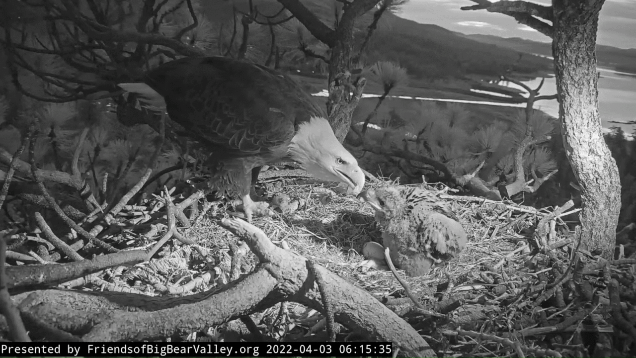 Webp.net-gifmaker (1)