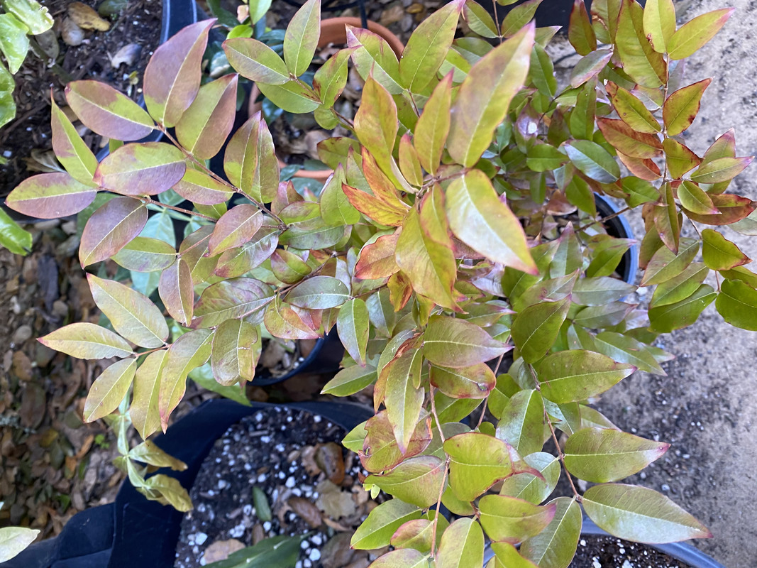 80E267AC-84B7-42AD-893F-ECCF3F4A9A95