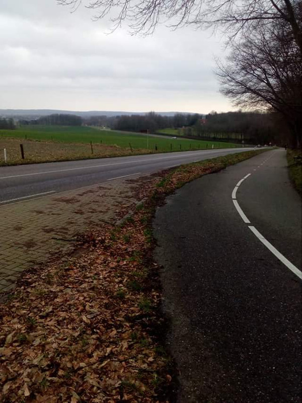 FB_IMG_1517156271711