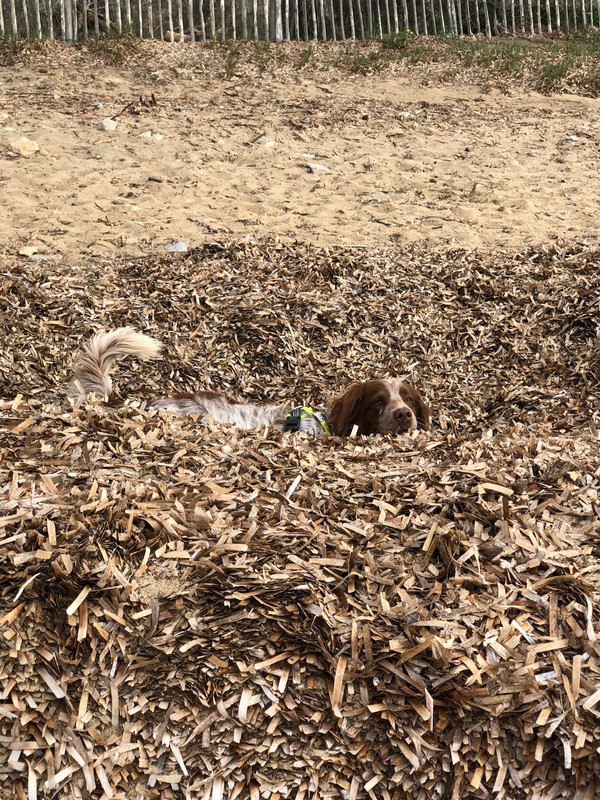 15076647-B512-41CB-91F5-467DA034F26F