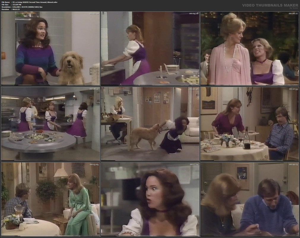 It's a Living S02E05 Second Time Around, Almost.mkv