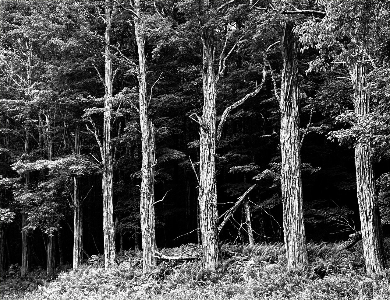 August-31-10bw