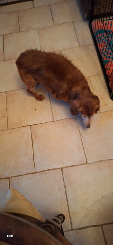 [Image: 20250313-072714.jpg]