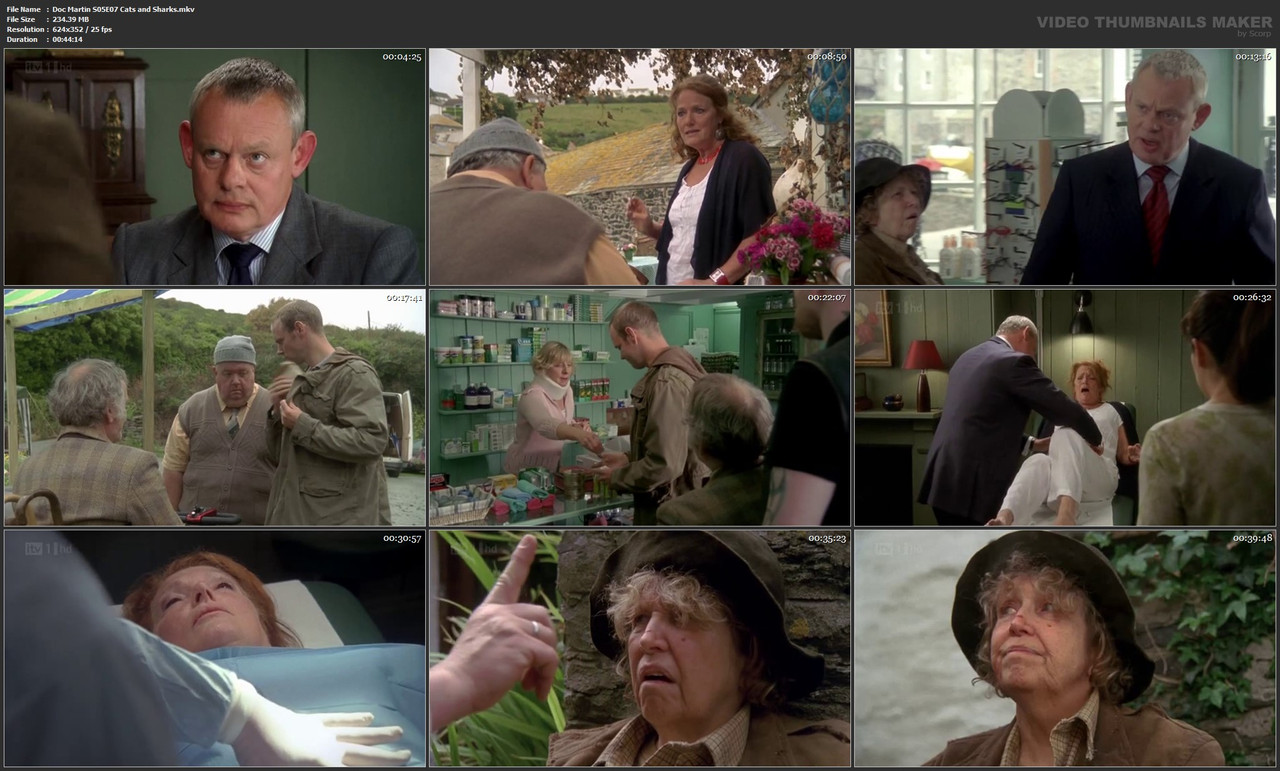 Doc Martin S05E07 Cats and Sharks.mkv