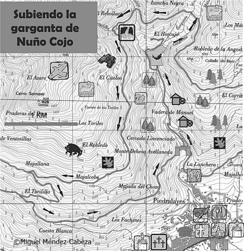 RUTA EMBALSE DEL HORCAJO Y GARGANTAS DEL VALLE DEL TIETAR-20-2-2016-AVILA - Paseando por España-1991/2016 (14)