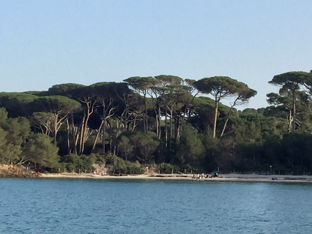 70E99A3C-0FA7-4231-A2D7-6259B3EE77B5