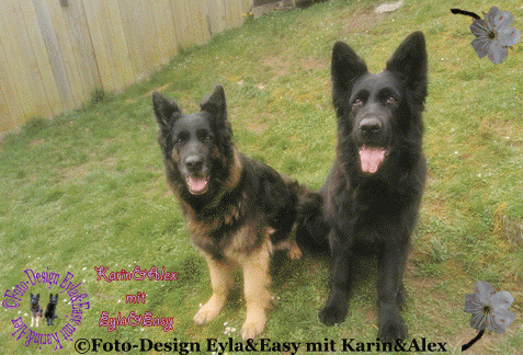 An den Beitrag angehängtes Bild: https://i.postimg.cc/zfq8KZrz/16-05-25-Viele-liebe-Gr-e-GB.gif
