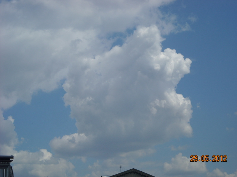 DSCN7869