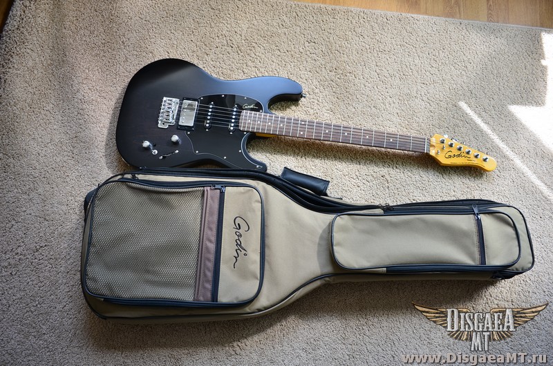 Godin_Session_Plus_exch_037