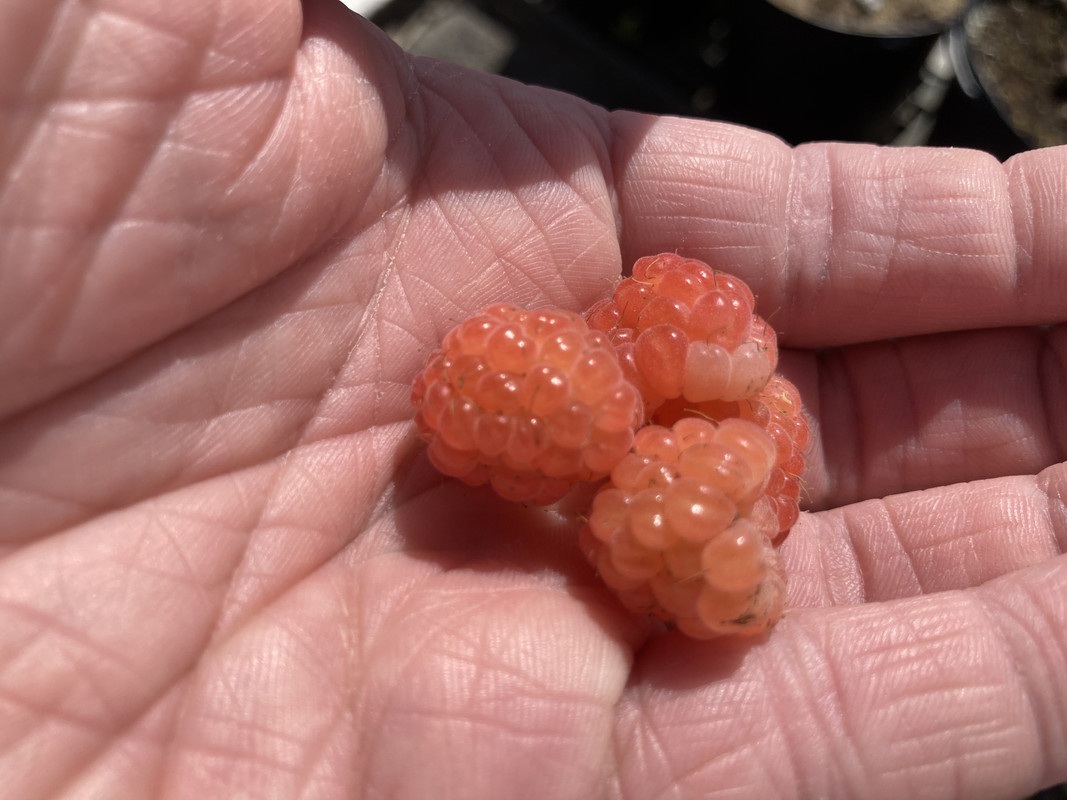 808D33CA-0C9C-452B-B726-AAD893DD0A6C