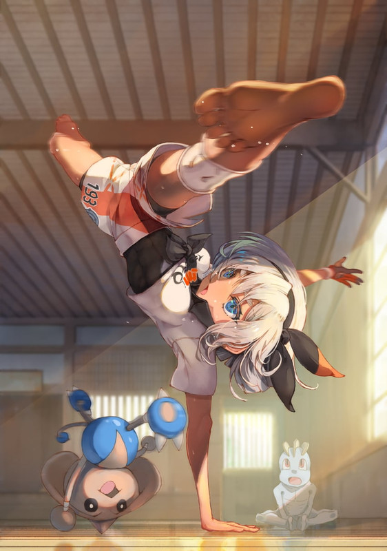 bea-machop-and-hitmontop-pokemon-and-2-m