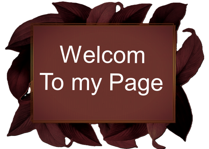 png-BIENVENUE-pagetrans