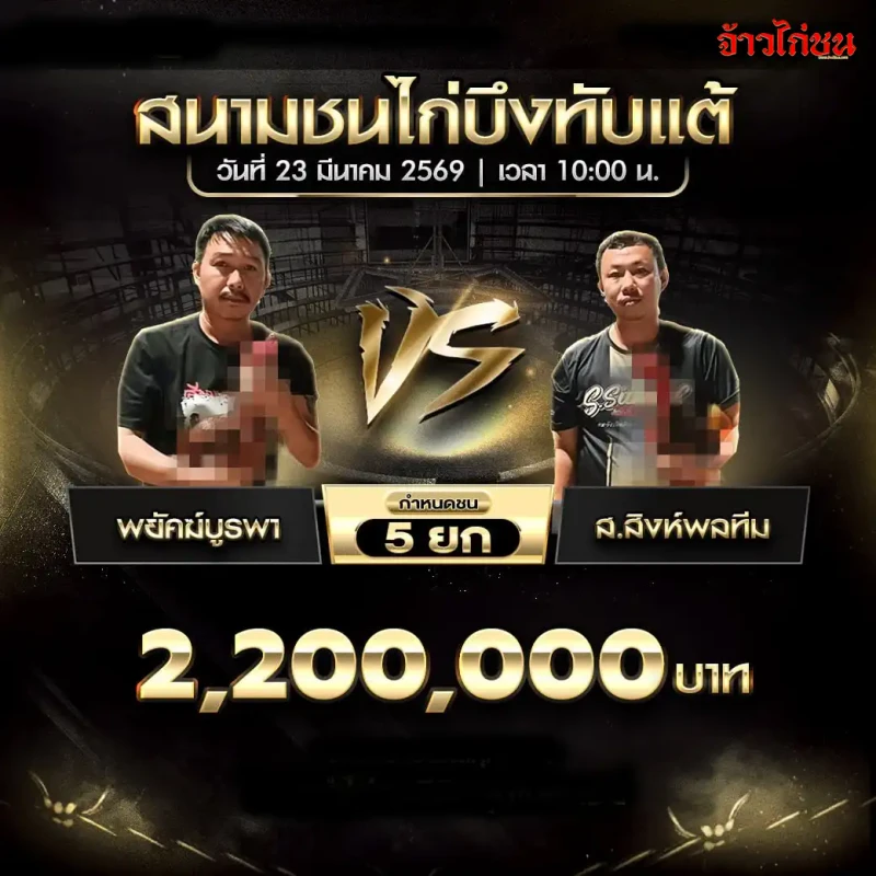 พยัคฆ์บูรพา พบ ส.สิงห์พลทีม โปรแกรมไก่ชน สนามบึงทับแต้