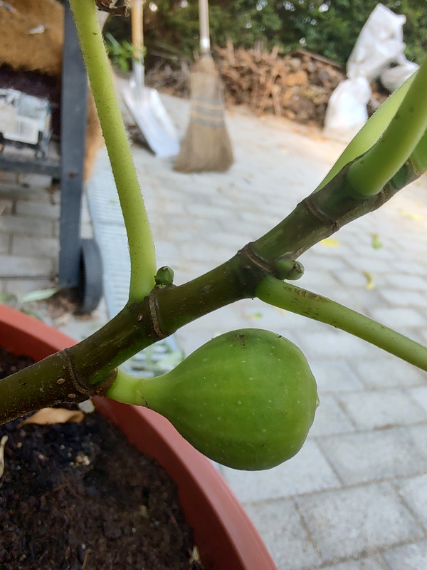 IMG_20230813_170336368_HDR