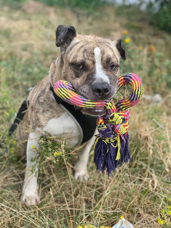 16ED68E1-32AB-4FD3-A260-7CE4C3AE8FE3