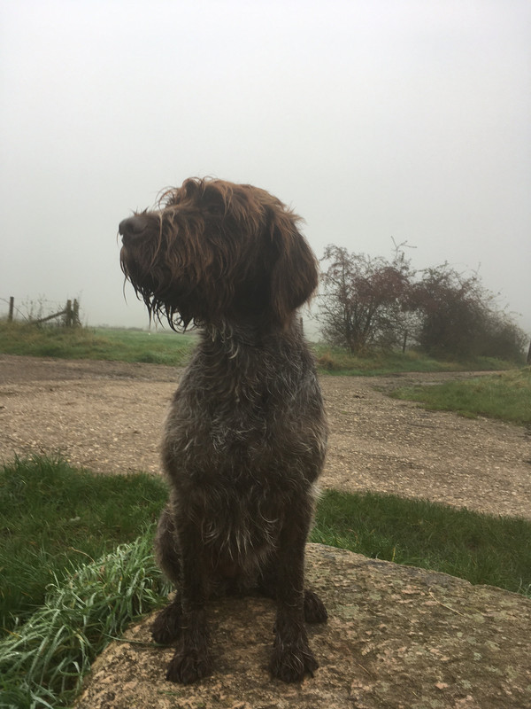 2024-01-11 Claire close up 2 IMG_4365 (002)