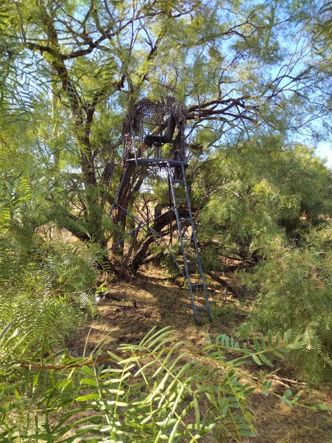 IMG_20220801_0927510