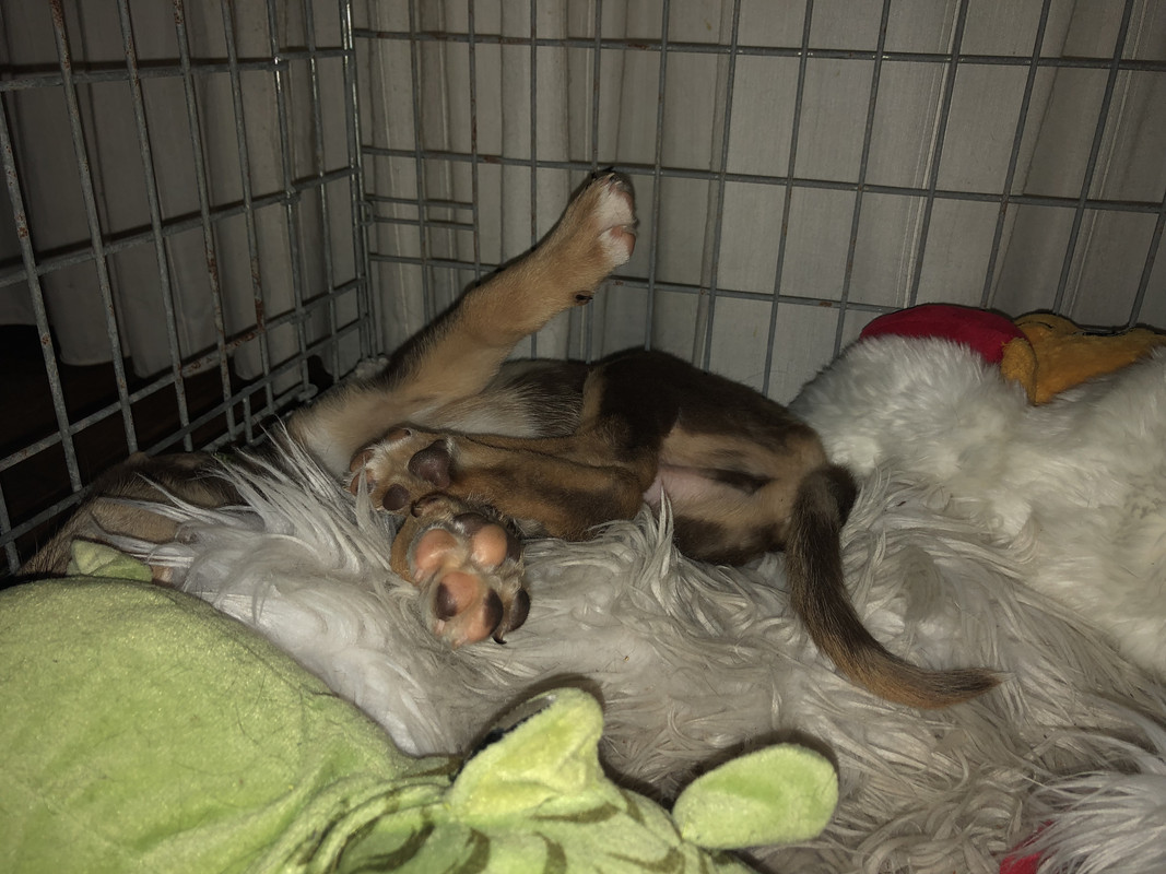 CF9C82B1-0844-4816-826C-0DF15562CFF0