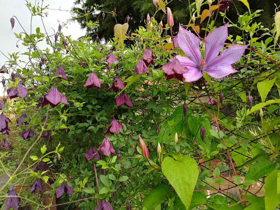IMG_20230529_172441_HDR