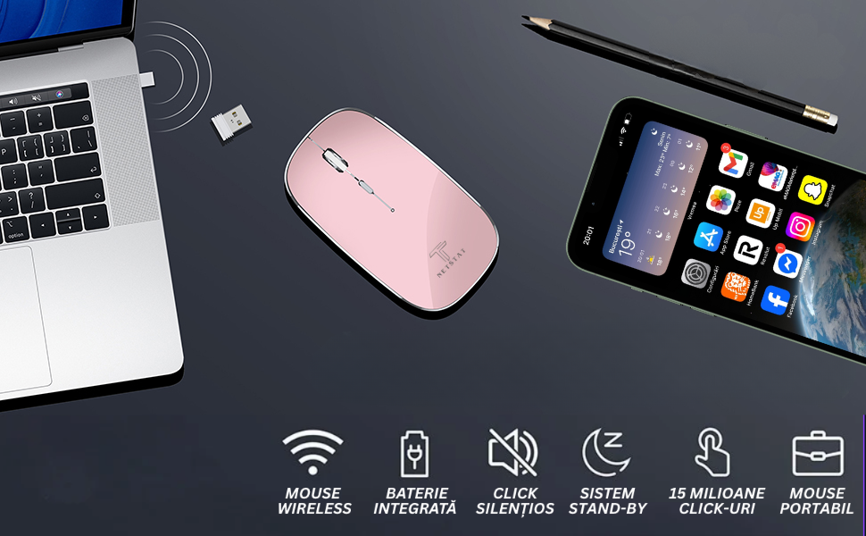 Mouse NETSTAT Prezentare 2