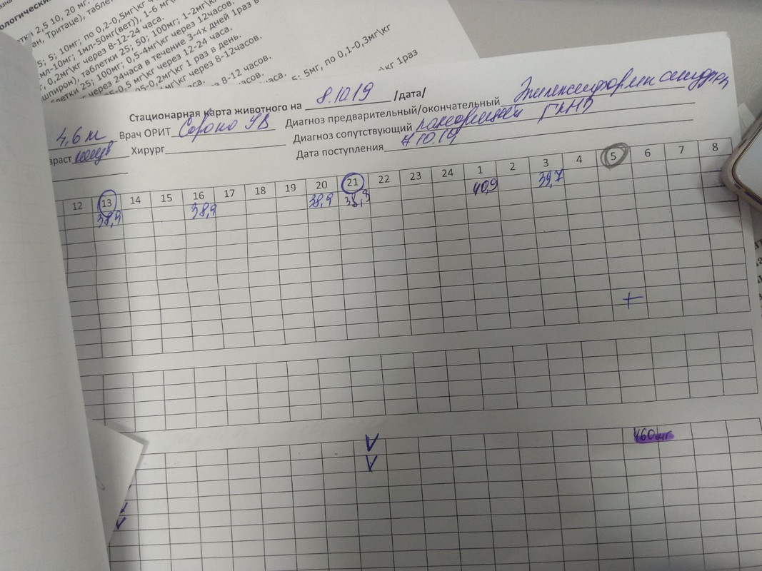 температурный лист